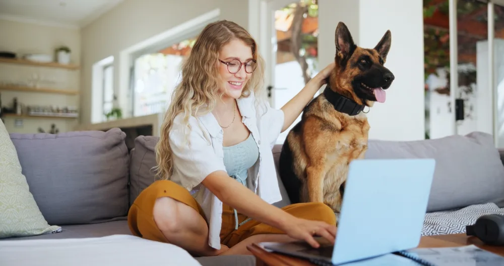 Pet Insurance in Burlington ON